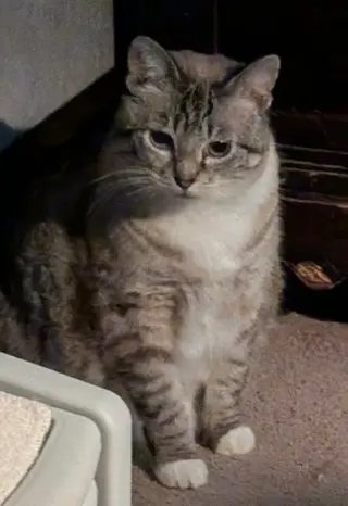 Ella