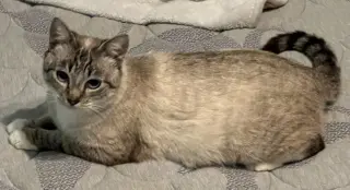 Ella