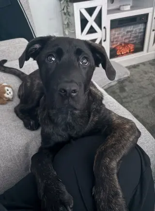 Max