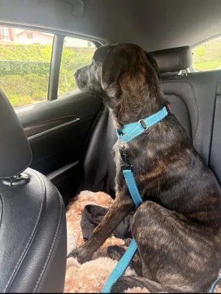 Max