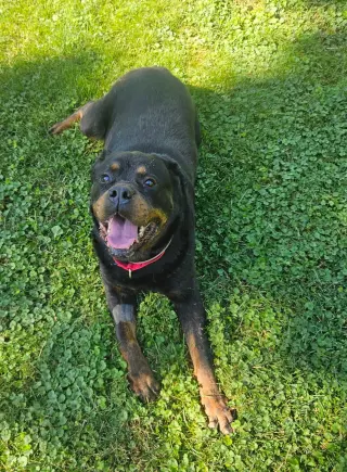 Coco