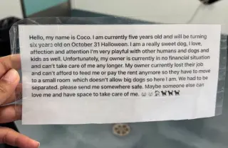 Coco