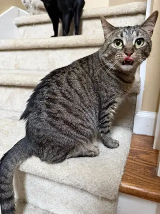 Rosie