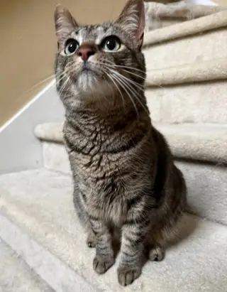 Rosie