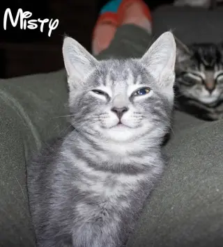 Misty