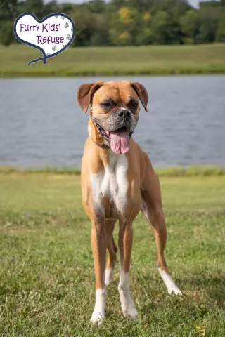 Savannah