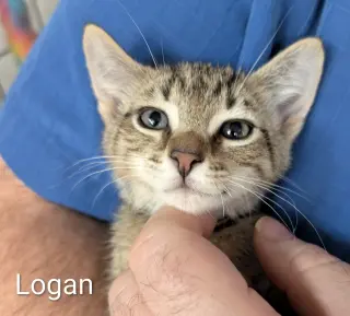 Logan 5.23.26