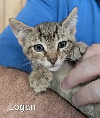 Logan 5.23.26