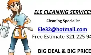 Ele cleaning services