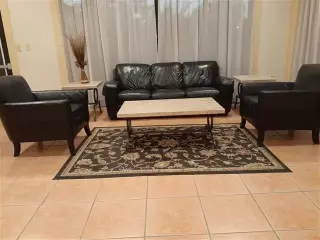 Ele cleaning services