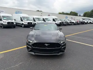 Ford Mustang 2021 GT 2dr Fastback