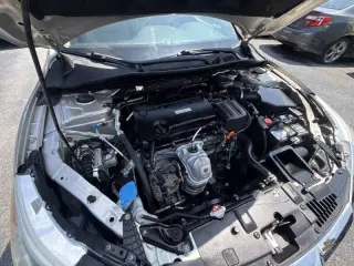 Audiencia 2016 Honda Accord