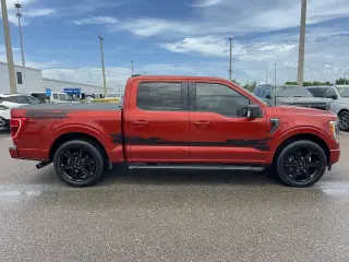 Ford F-150 2023 4x2 XLT 4dr SuperCrew 6.5 ft. SB