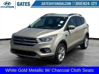 Ford Escape 2018 AWD SE 4dr SUV