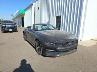Ford Mustang 2024 EcoBoost 2dr Convertible