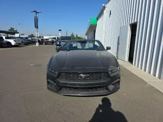 Ford Mustang 2024 EcoBoost 2dr Convertible