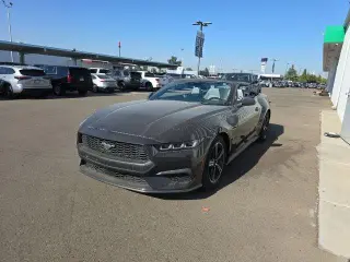 Ford Mustang 2024 EcoBoost 2dr Convertible