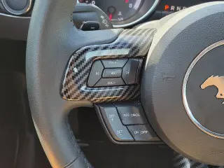 Ford Mustang 2019 EcoBoost 2dr Fastback