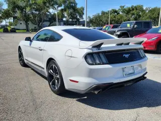 Ford Mustang 2019 EcoBoost 2dr Fastback