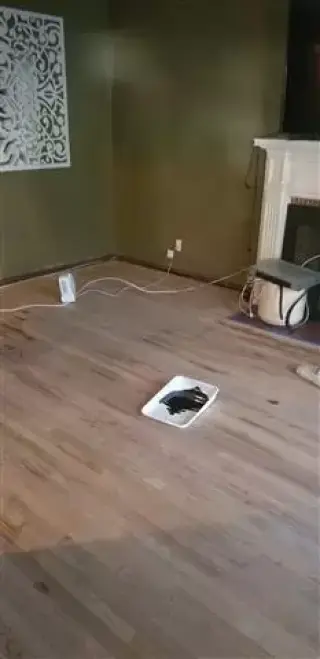Handyman