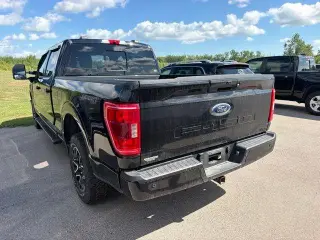 Ford F-150 2021 4x4 XLT 4dr SuperCrew 5.5 ft. SB