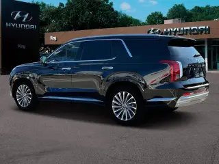 Hyundai PALISADE 2024 AWD Calligraphy 4dr SUV