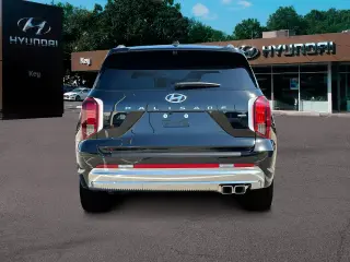 Hyundai PALISADE 2024 AWD Calligraphy 4dr SUV