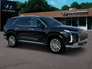 Hyundai PALISADE 2024 AWD Calligraphy 4dr SUV
