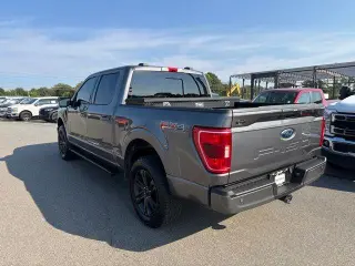 Ford F-150 2021 4x4 XLT 4dr SuperCrew 5.5 ft. SB