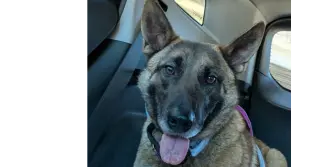 Bianca located in Michigan