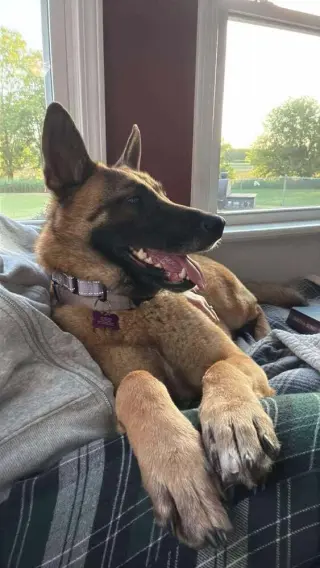 Bianca located in Michigan