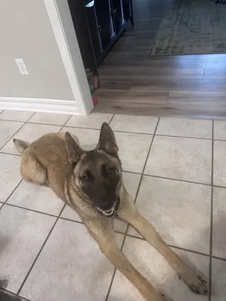 Bianca located in Michigan