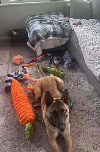 Bianca located in Michigan