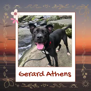 Gerard Athens