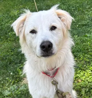Riley