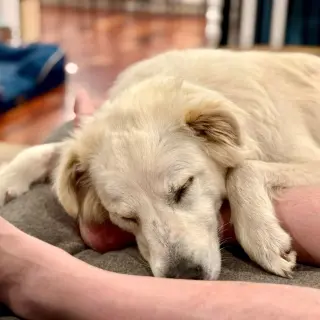 Riley