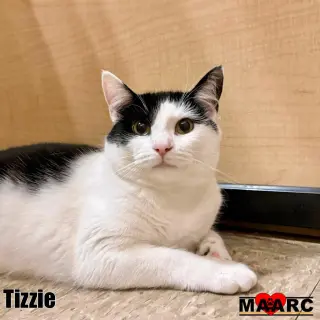 Tizzie