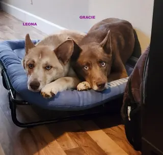 GRACIE & LEONA
