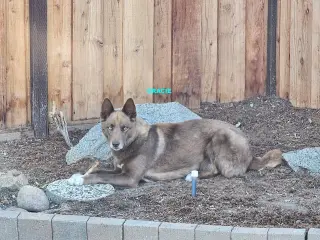 GRACIE & LEONA