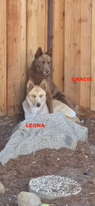 GRACIE & LEONA