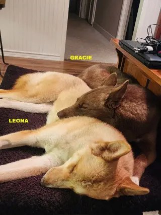 GRACIE & LEONA