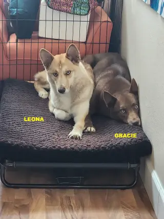 GRACIE & LEONA
