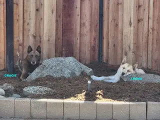 GRACIE & LEONA