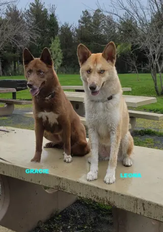 GRACIE & LEONA