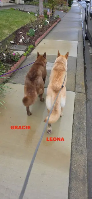 GRACIE & LEONA