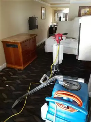Roberto's Carpet Cleaning