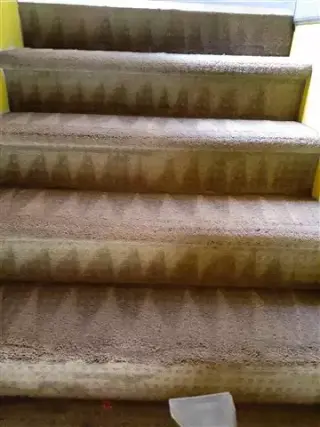 Roberto's Carpet Cleaning
