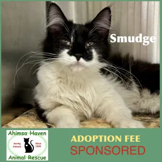 Smudge