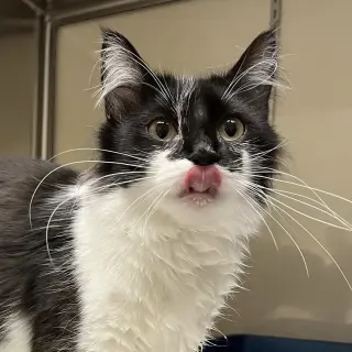 Smudge