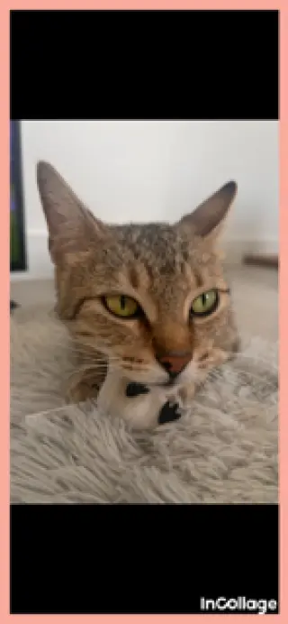 Caroline